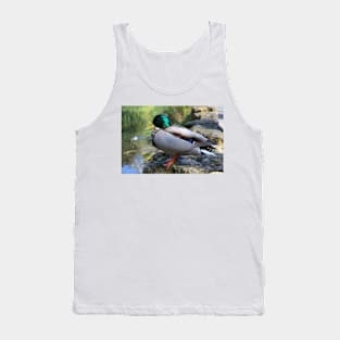 Mallard Duck Tank Top